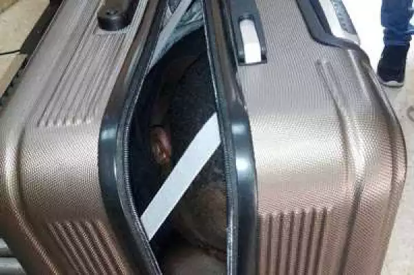 Boy Desperate To Be Smuggled Into Spain Caught In A Suitcase (Photos)
